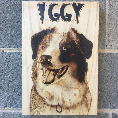 Dog Woodburning Iggy - The Nine 4