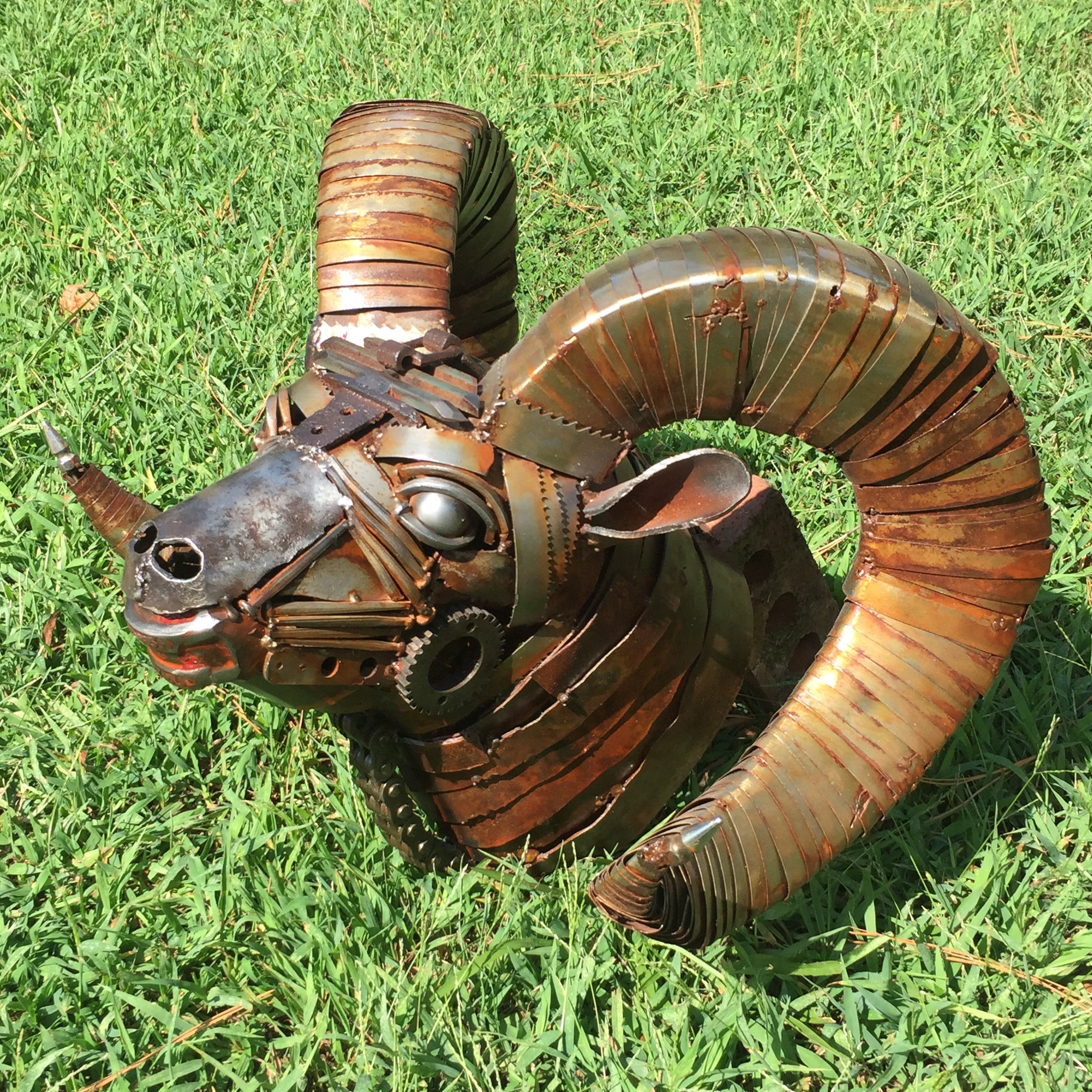 Ram_Head_Grass.JPG?v=1496784470