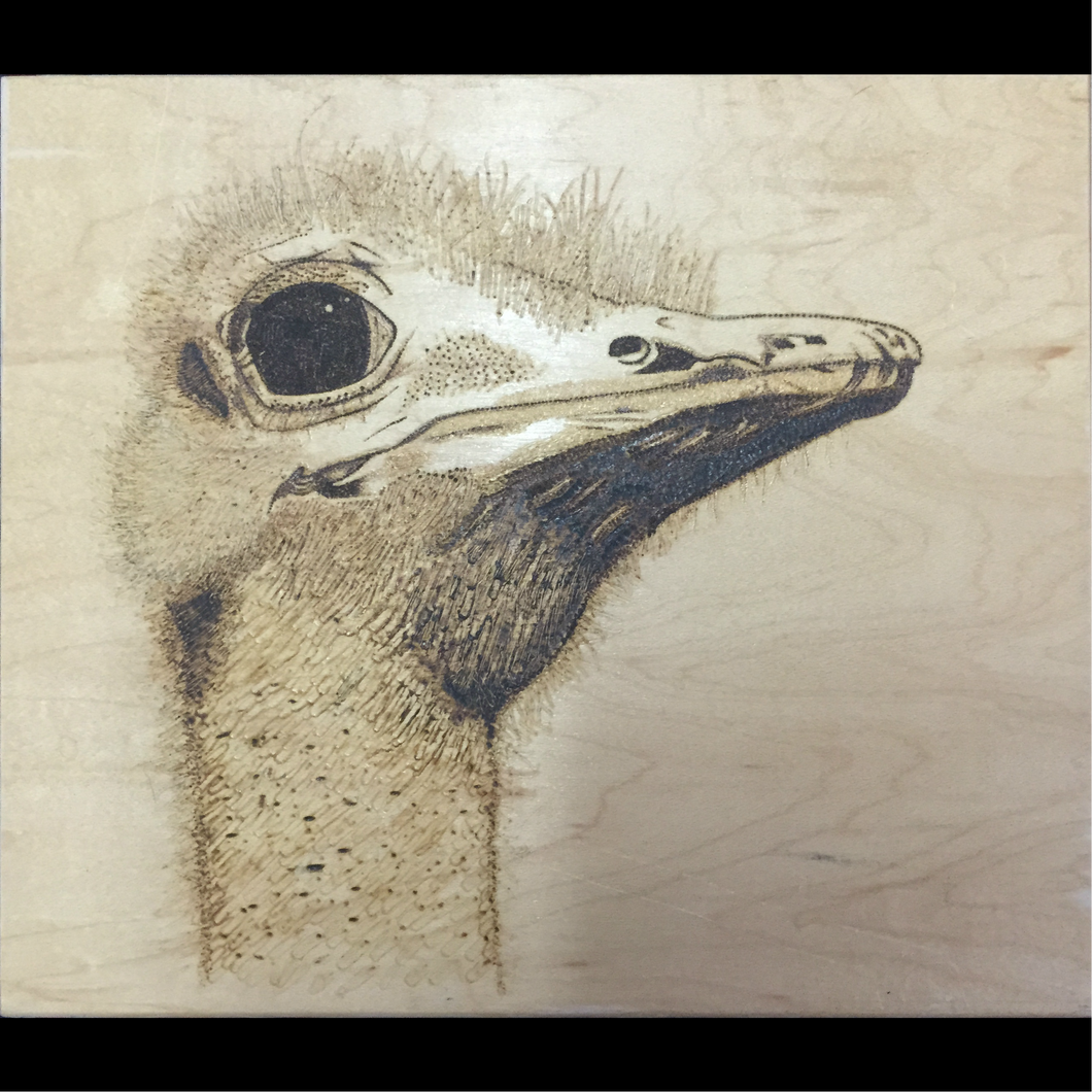 Ostrich Woodburning